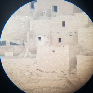 Meet your Posher, Chase